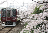 } 8300n  8304F~6R 8404 [ j-R] @     