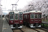 } 8300n  8304F~6R 8304 [ j-R] @  C#7310Ƃ̕  