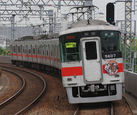 Rz 5000n  5014F 5607 [ʓ}iԁj PH] @ 啨 Ղ艮wbh}[N PHCi[iՁj