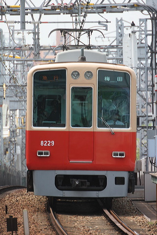 _ 8000n  8229F 8229 [}s ~c] @ 啨    