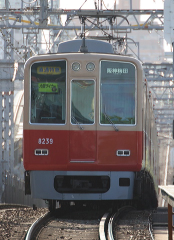 _ 8000n  8239F 8239 [ʓ}ij _~c] @ 啨 ドCi[iՁj  