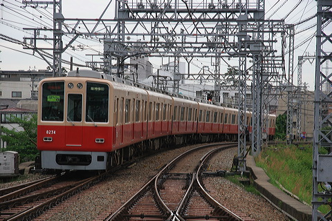 _ 8000n  8233F 8234 [  ʓ}iԁj] @ bq ドCi[iՁj  