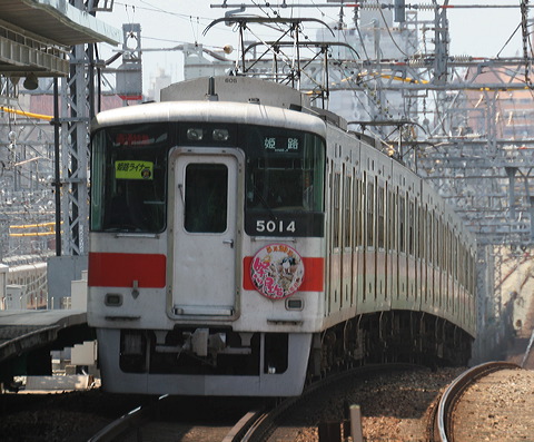 Rz 5000n  5014F 5014 [ʓ}iԁj PH] @ 啨 PHCi[iՁj Ղ艮wbh}[N