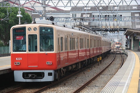 _ 8000n  8229F 8229 [ʓ}iԁj PH] @ { PHCi[  