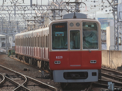 _ 8000n  8229F 8229 [ԋ}s ~c] @ bq Z싅W  
