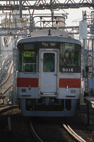 Rz 5000n  5016F 5016 [ʓ}ij _~c] @ 啨 ドCi[iՁj  