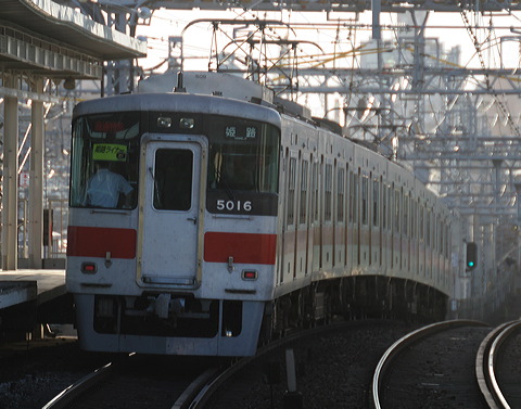 Rz 5000n  5016F 5016 [ʓ}iԁj PH] @ 啨 PHCi[iՁj  
