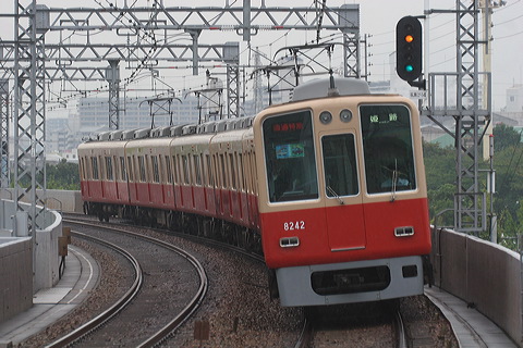 _ 8000n  8241F 8242 [ʓ}iԁj PH] @ 啨 }_z[fBOXa  