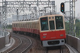 _ 8000n  8241F 8242 [ʓ}iԁj PH] @ 啨 }_z[fBOXa  