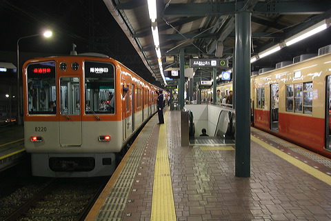 _ 8000n  8219F 8220 [ʓ}iԁj _~c] @ bq }_z[fBOXa  