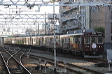 } 3000n  3066F~8R 3066 [ʋΏ} ~c] @ ΋ V_CX^[g  