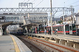 _ 9000n  9201F 9201 [ʓ}iԁj _~c] @ { C#5335Ƃ̕  