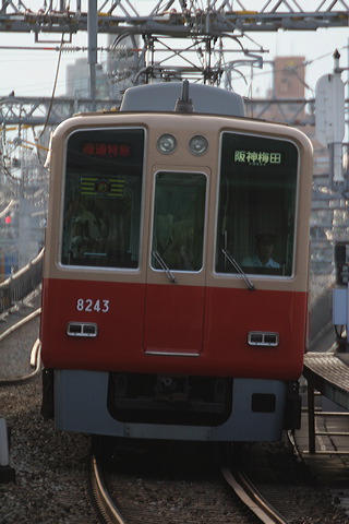 _ 8000n  8243F 8243 [ʓ}iԁj _~c] @ 啨 ՕW  