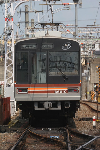 sʋ 66n  66610F 66610 [  k痢] @ WH    
