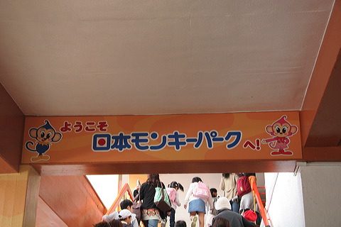 S        [   ] @     